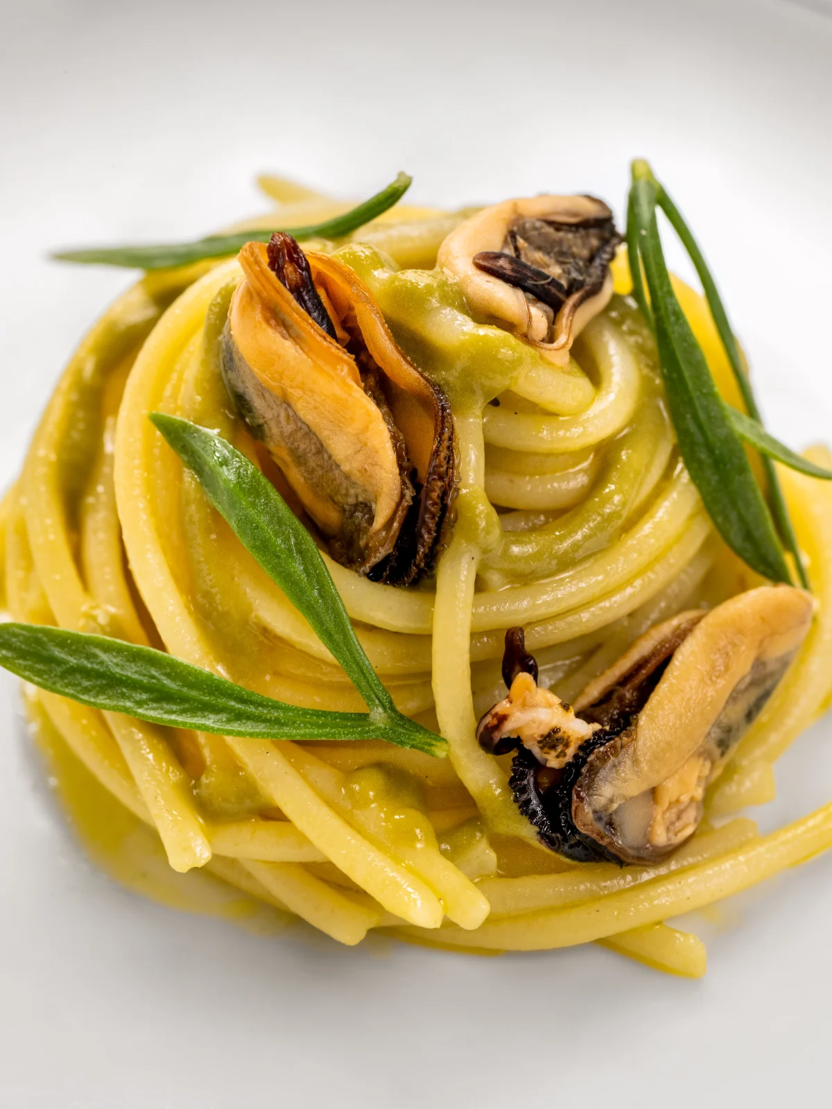 Lisotto di patate-coniglio alla ligure e maio alle erbe